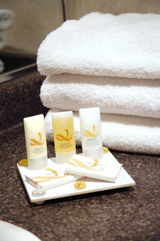 וונקובר Quality Hotel Downtown-Inn At False Creek חדר תמונה